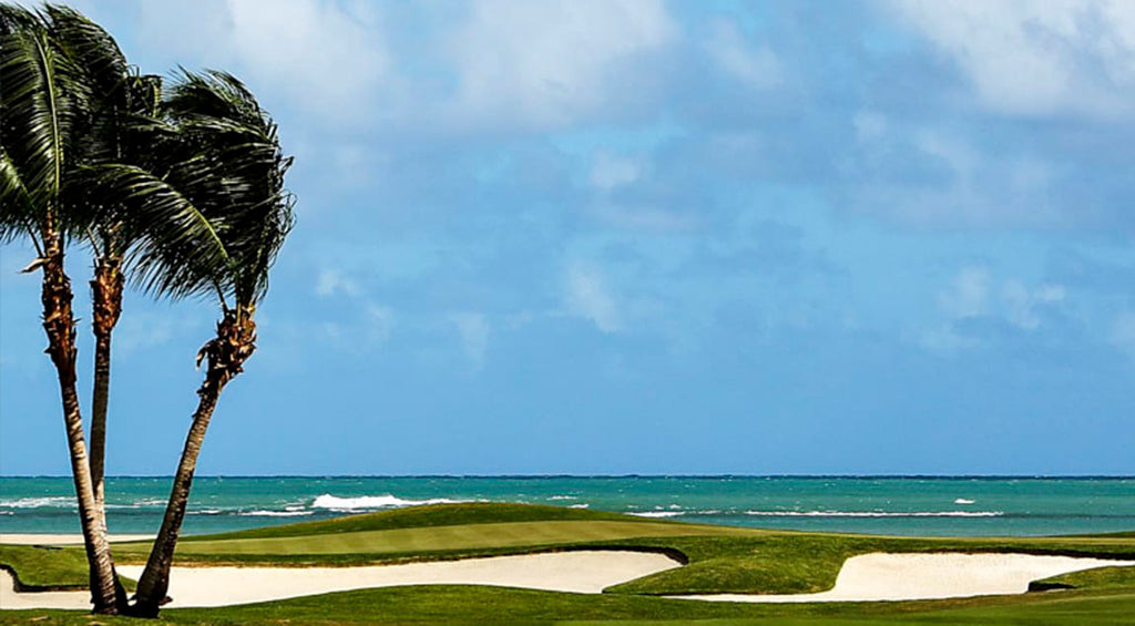 Replaceable Spikes from PrideSports® Trusted by Three Tour Winners